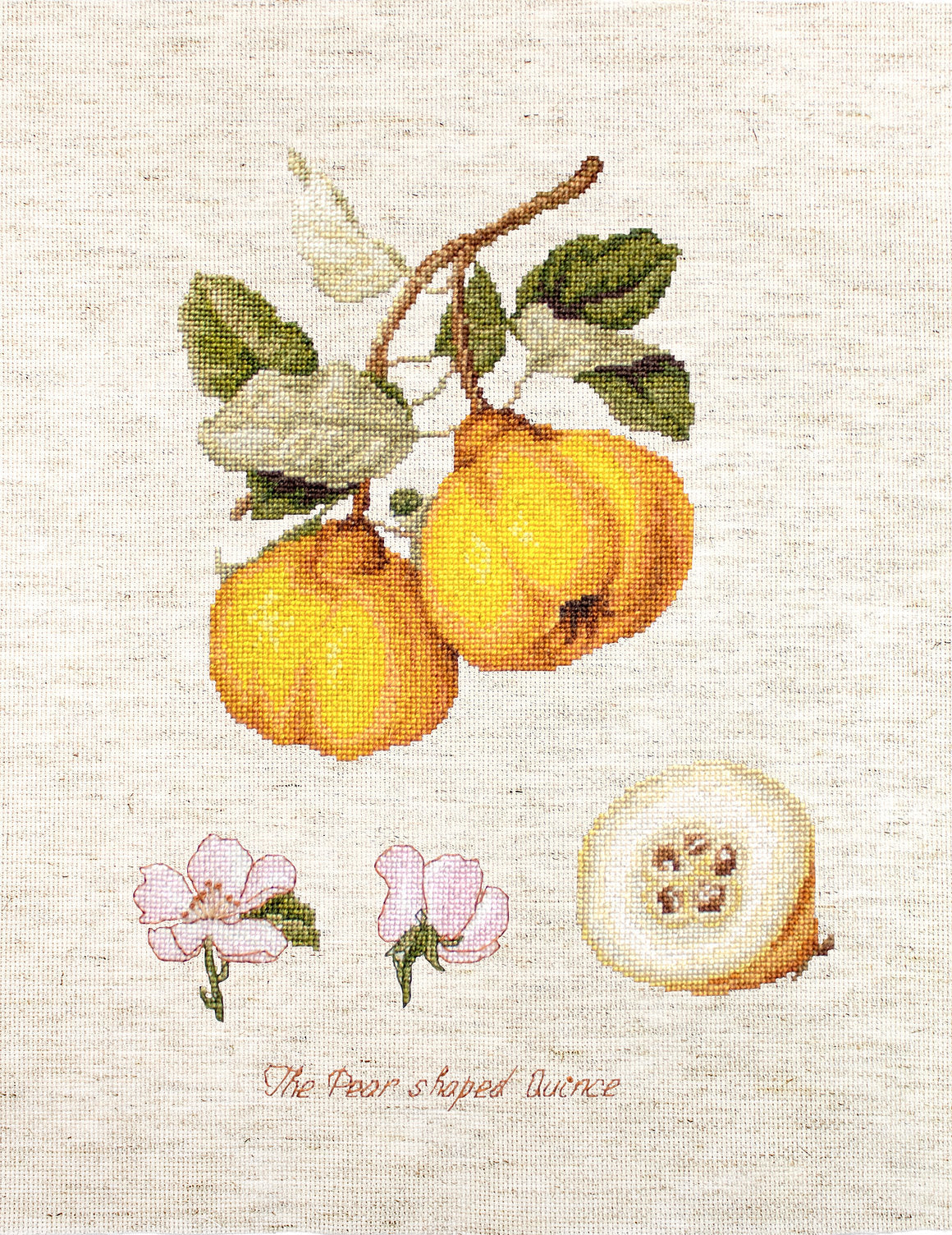 Cross Stitch Kit Luca-S - The Pear shaped Quince
