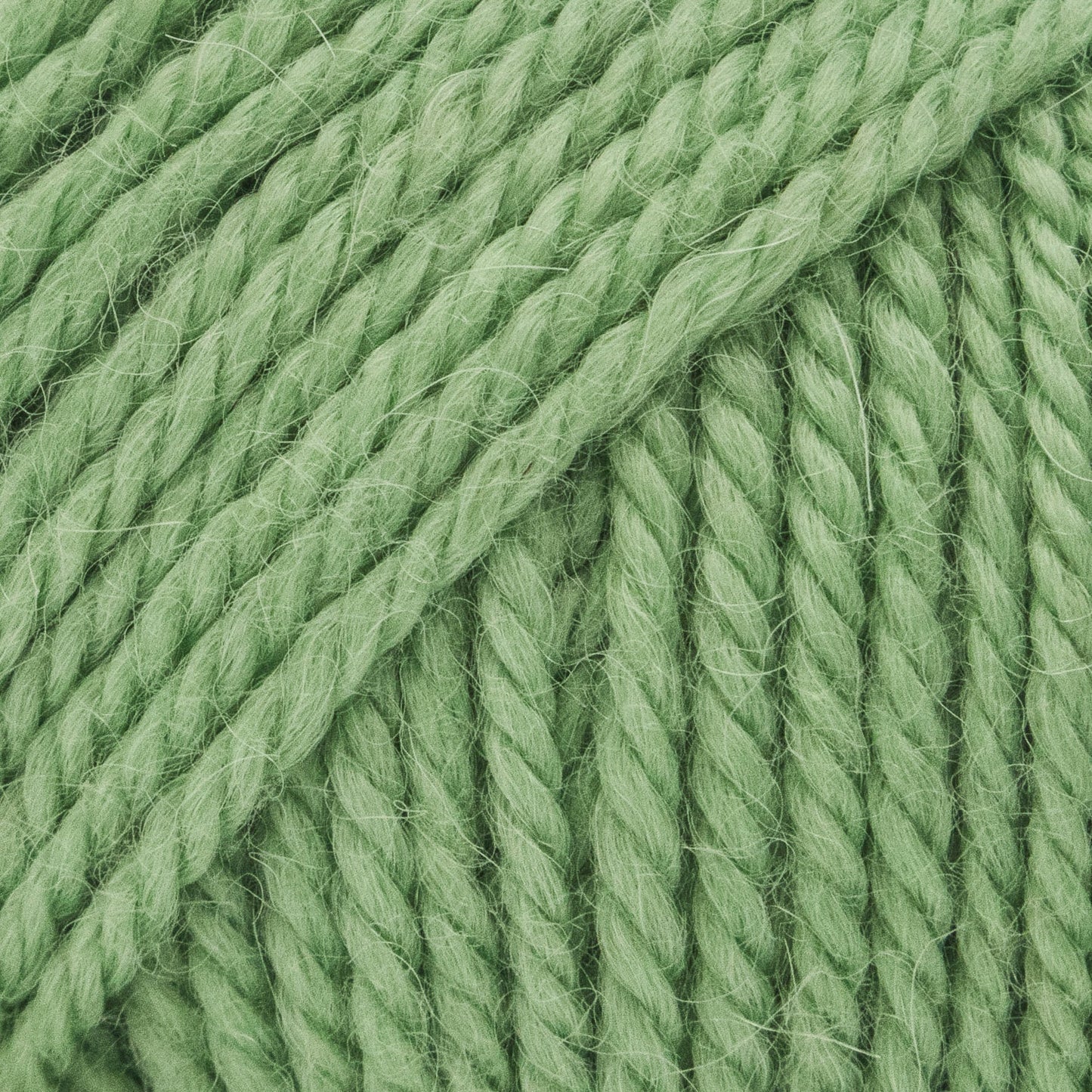 Luca-S ALPAKITA Pack of 10 (0.5 KG)