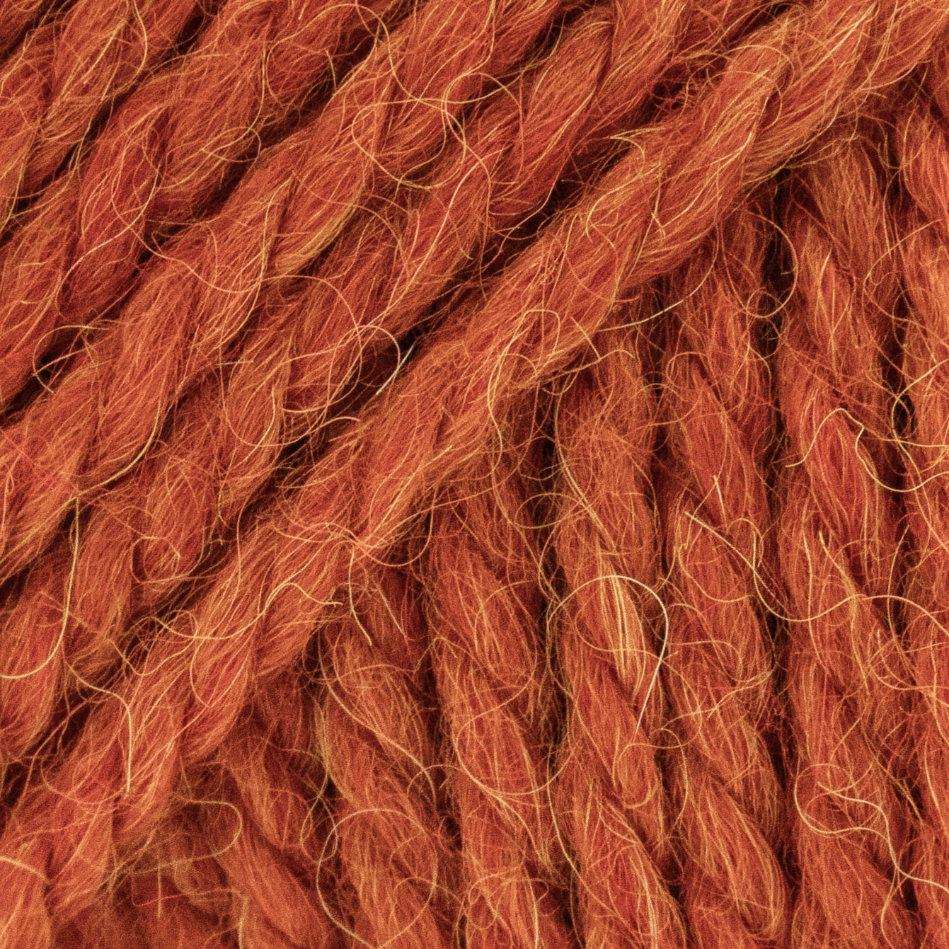 Luca-S ALPINO Pack of 10 (0.5 KG)