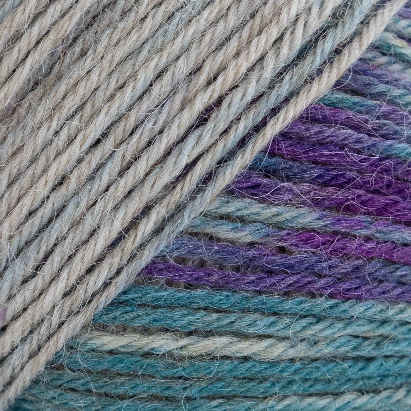 Luca-S MERAKI - Pack of 10 (0.5 KG)