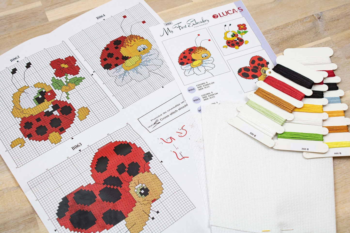 Cross Stitch Kit for Beginners - My First Embroidery M01
