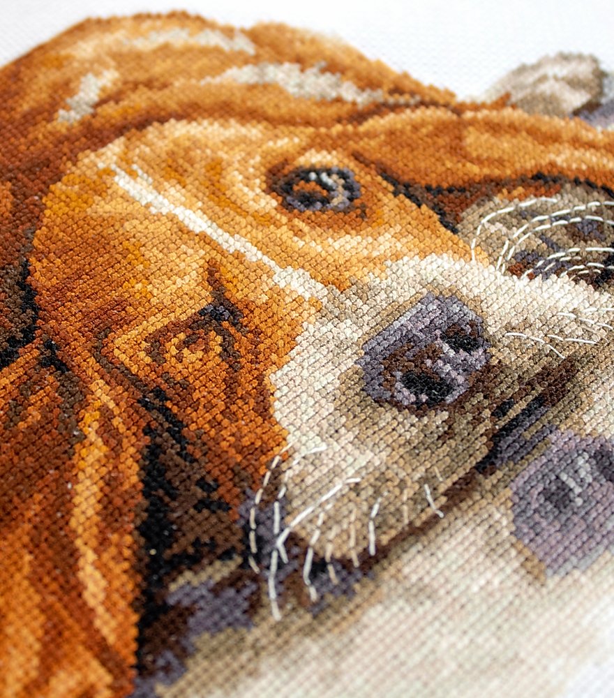 Cross Stitch Kit Luca-S - Basset, B2341