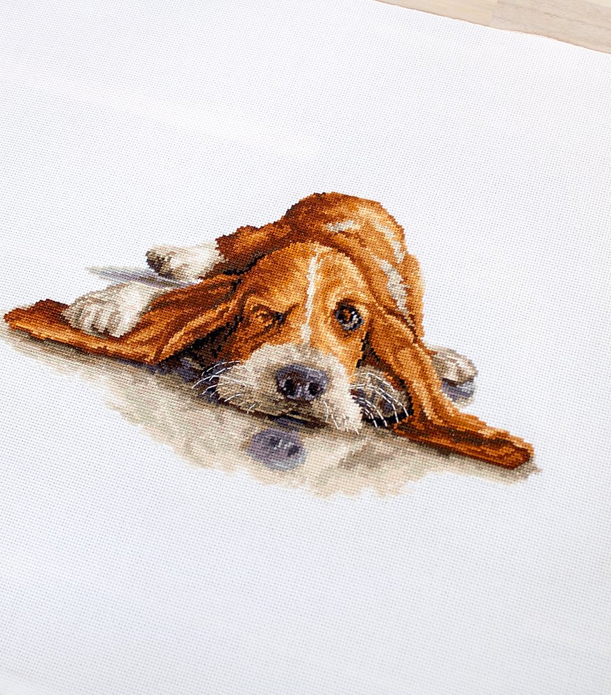 Cross Stitch Kit Luca-S - Basset, B2341