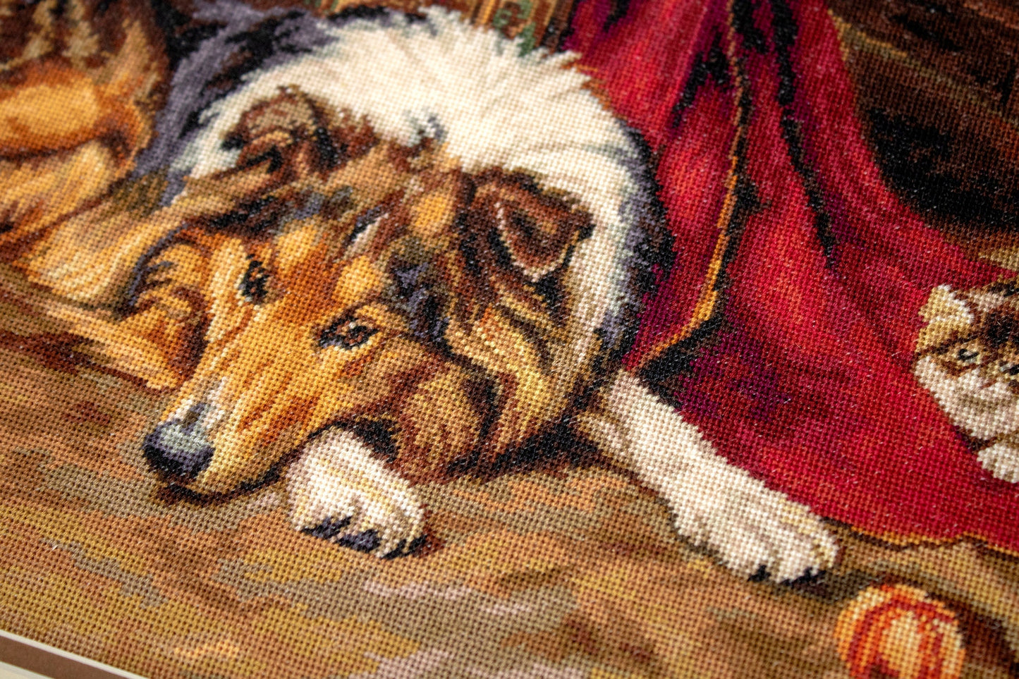 Cross Stitch Kit Luca-S - A Reluctant Companion, B585