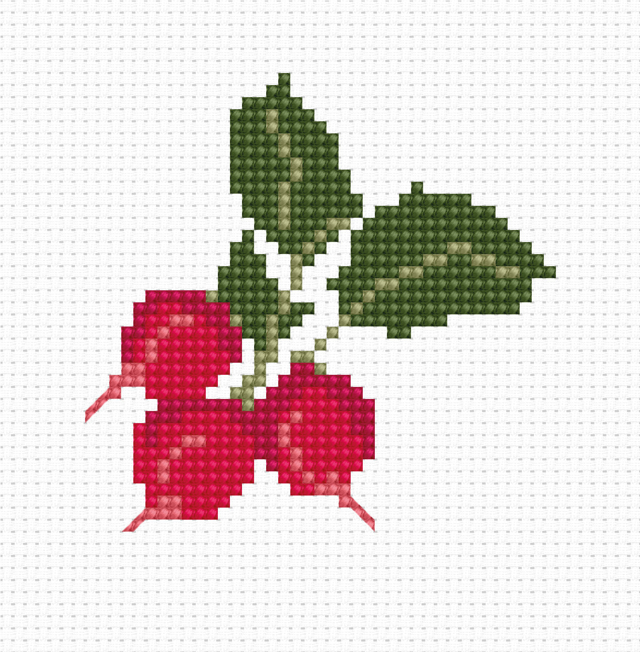 Cross Stitch Kit for Beginners - Kids Embroidery Kit B036