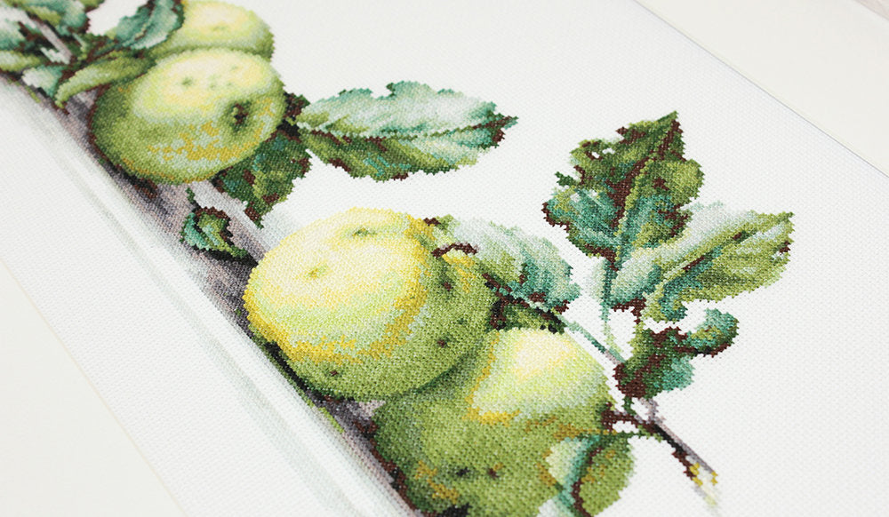 Cross Stitch Kit Luca-S - Still Life with Apples, B2259