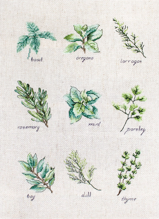 Cross Stitch kit Luca-S - Spices and Herbs, B2346