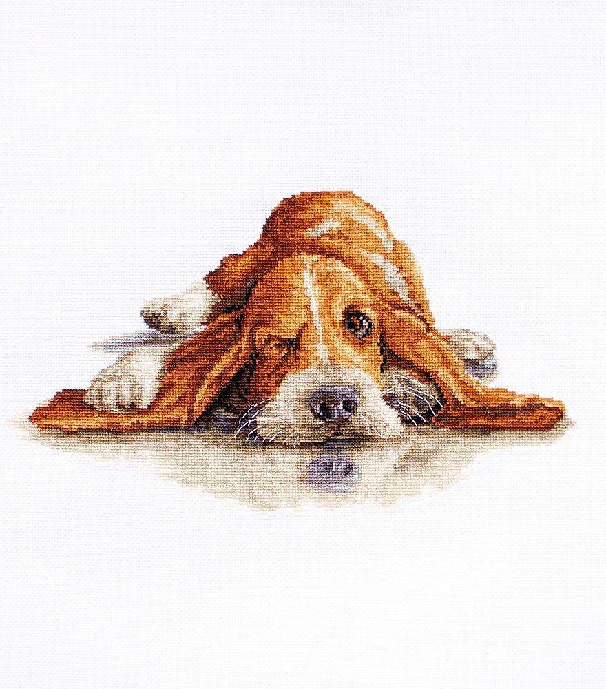 Cross Stitch Kit Luca-S - Basset, B2341
