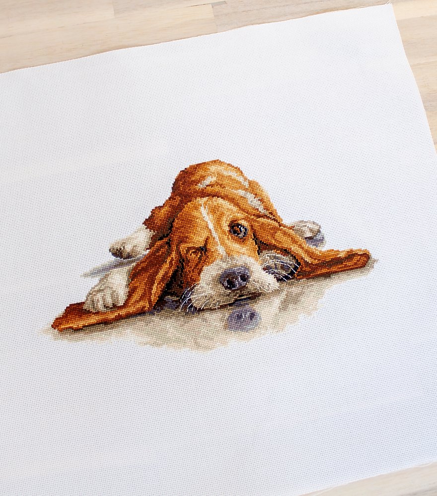 Cross Stitch Kit Luca-S - Basset, B2341
