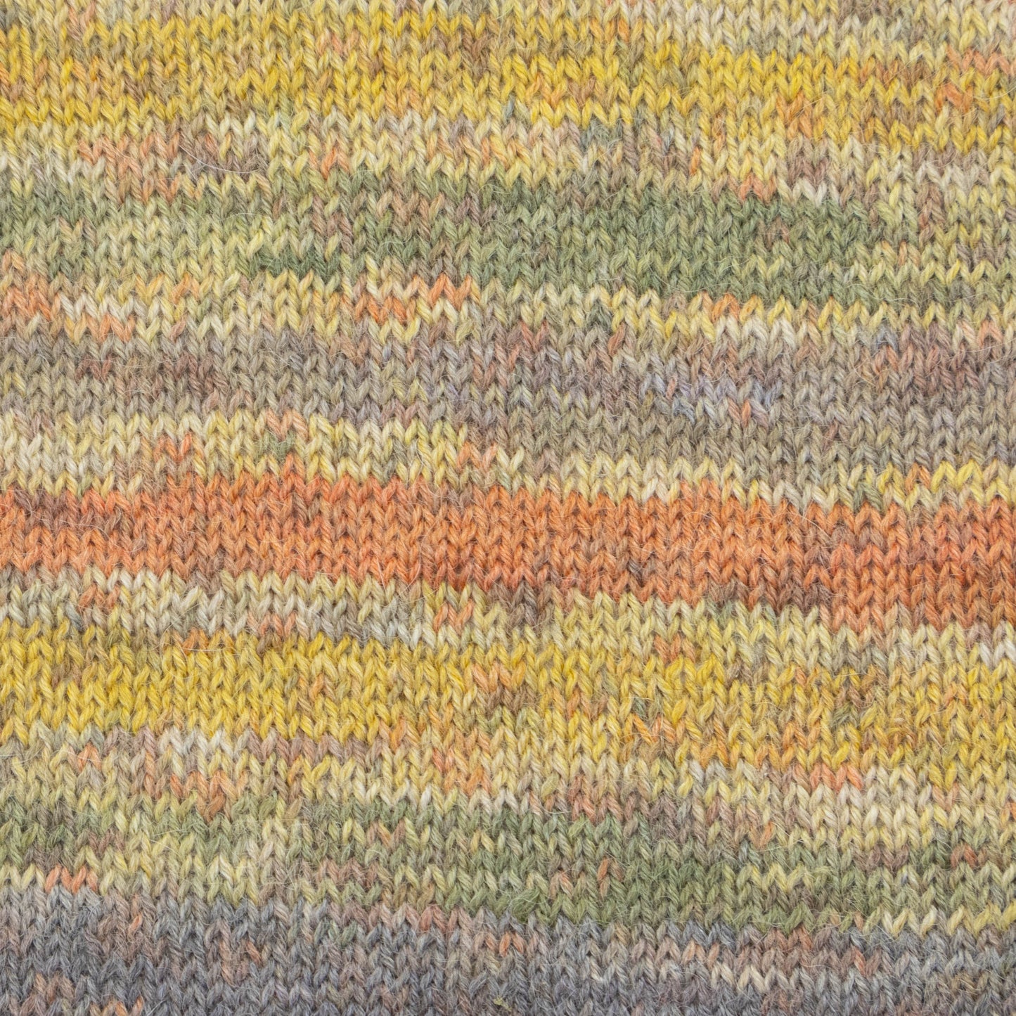 Luca-S MERAKI - Pack of 10 (0.5 KG)