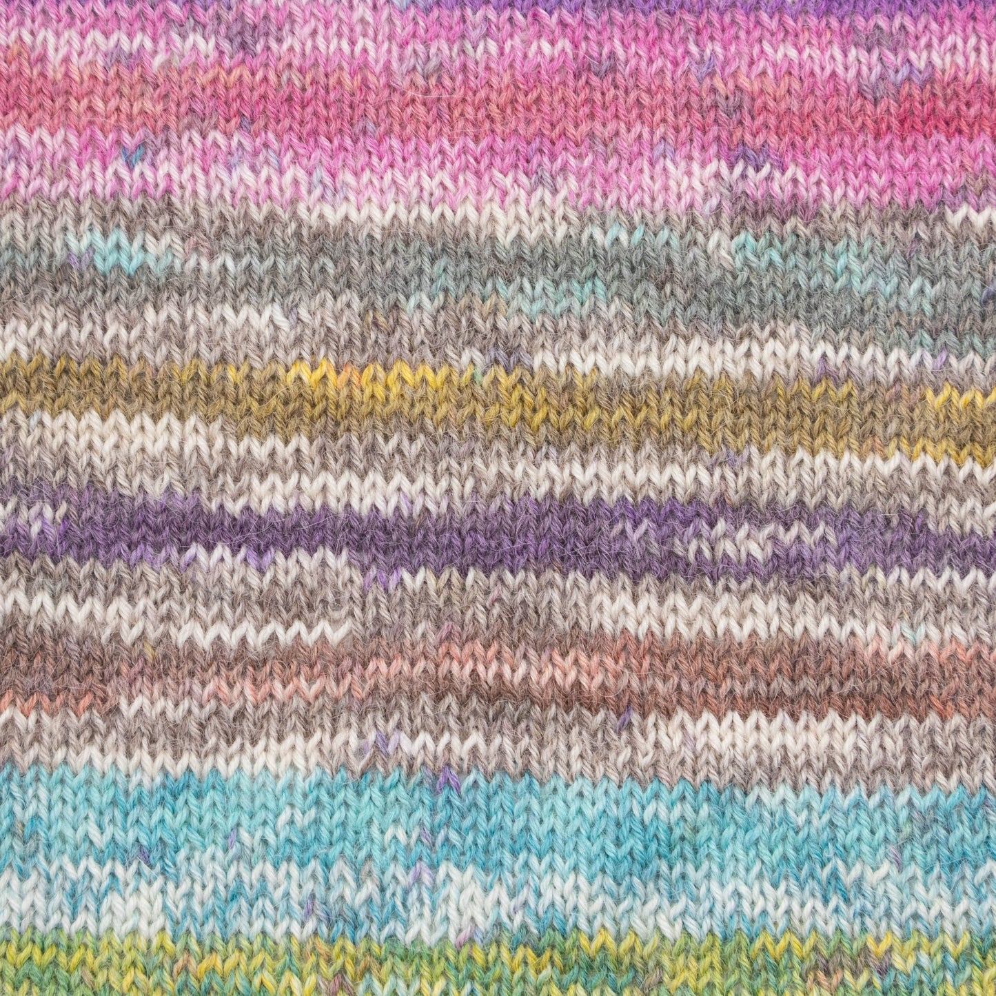 Luca-S MERAKI - Pack of 10 (0.5 KG)