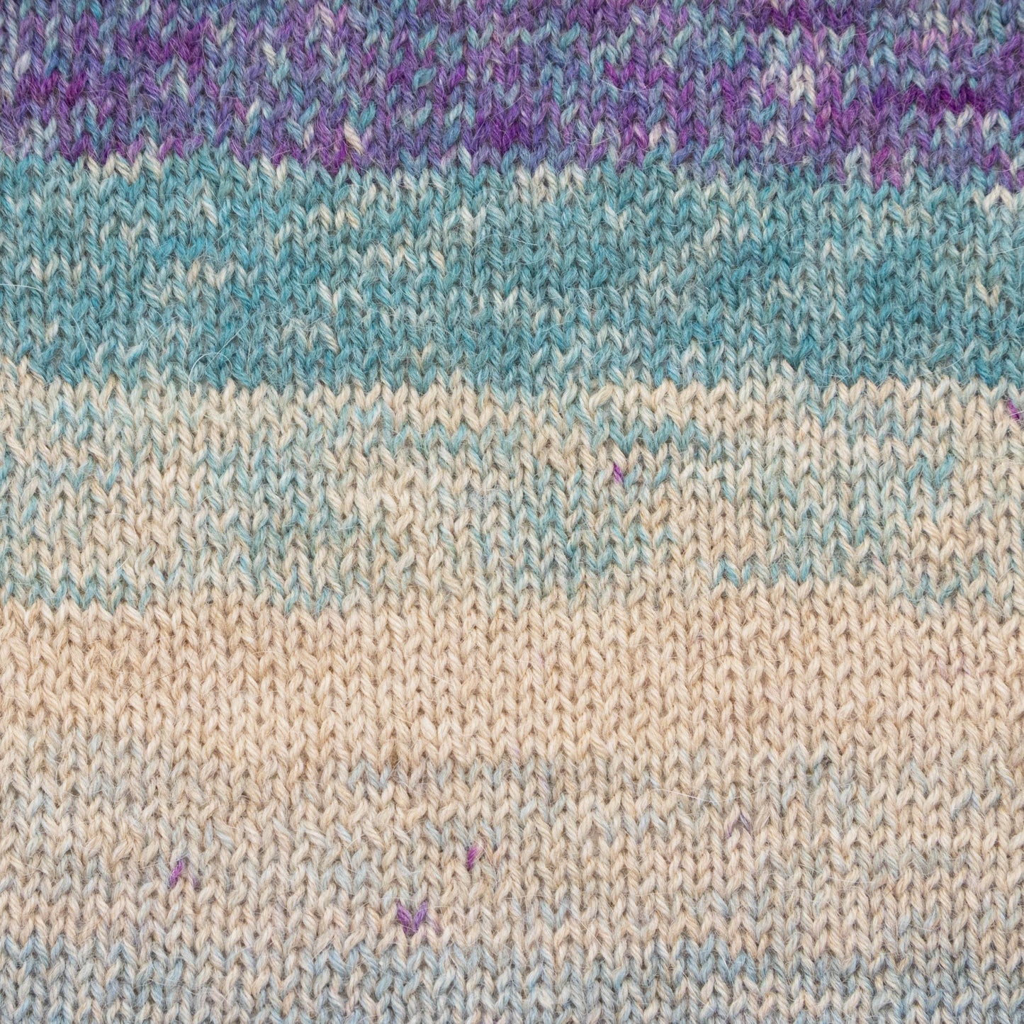 Luca-S MERAKI - Pack of 10 (0.5 KG)