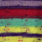 Luca-S WoolenWalk Merino Pack of 10 (0.5 KG)