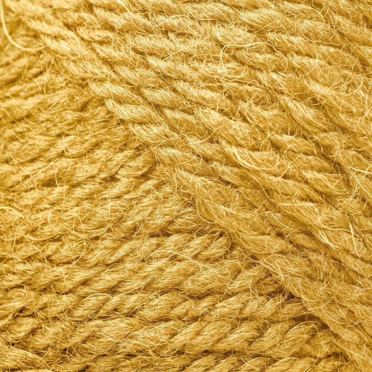 5 Pack Highland Alpaca
