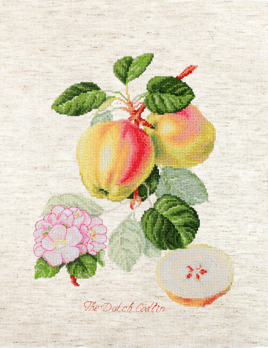 Cross Stitch Kit Luca-S - The Dutch Codlin