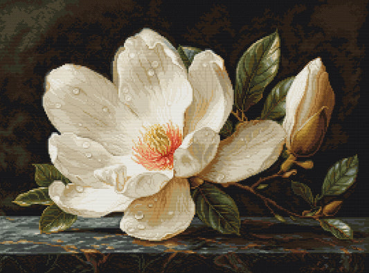 Cross Stitch Kit Luca-S GOLD -The Magnolia Dew, B713