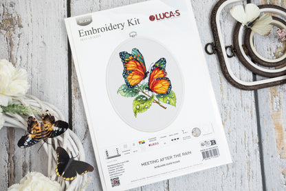 Cross Stitch Kit with Hoop Included Luca-S - Meeting After the Rain, BC239