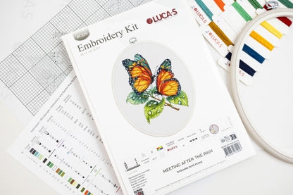 Cross Stitch Kit with Hoop Included Luca-S - Meeting After the Rain, BC239