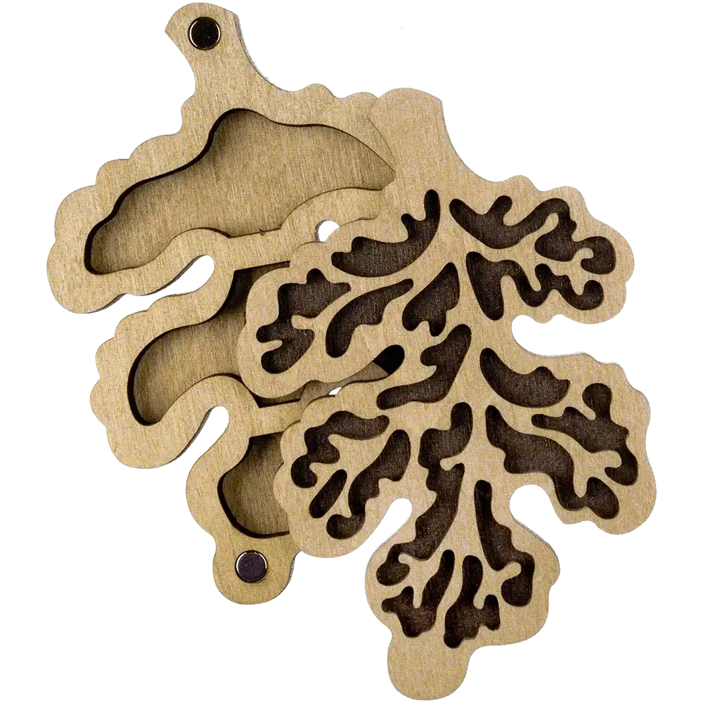 Bead organizer with wooden cover FLZB-102 Wonderland Crafts Bead Organizers - HobbyJobby