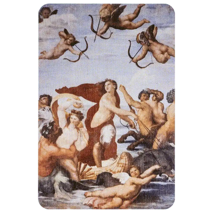 Box for handicraft FLZB(N)-082 Wonderland Crafts Organizer Box - HobbyJobby