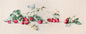 Cross Stitch Kit Luca-S - BL2253 - HobbyJobby