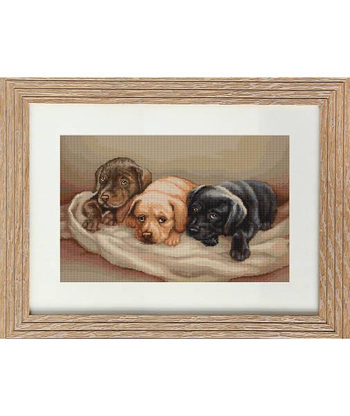 Cross Stitch Kit Luca-S Cross Stitch Kits - HobbyJobby