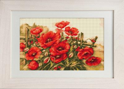 Cross Stitch Kit Luca-S Cross Stitch Kits - HobbyJobby