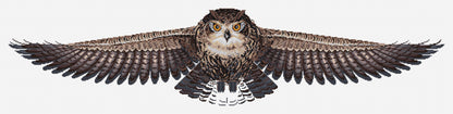 Cross Stitch Kit Luca-S - The Owl, CD005 - Luca-S Cross Stitch Kits