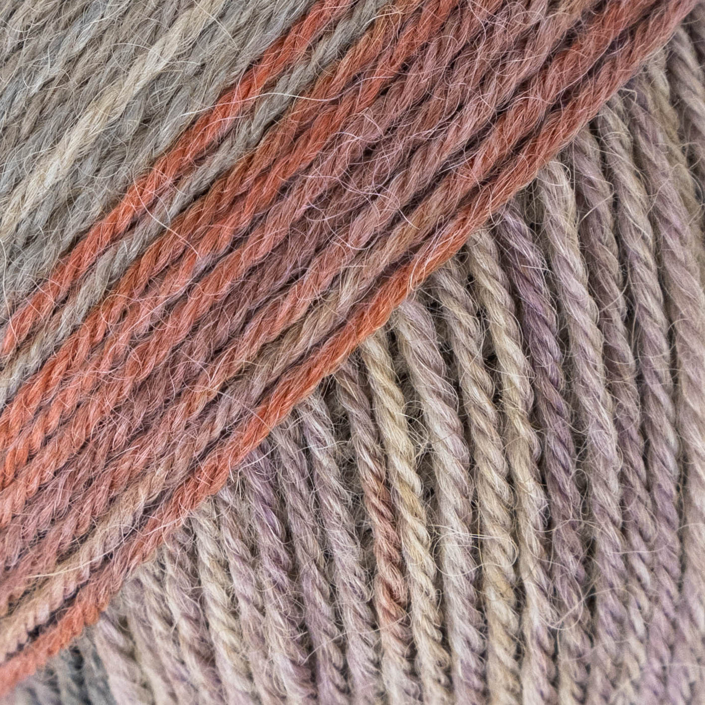 Luca-S MERAKI - Pack of 10 (0.5 KG)