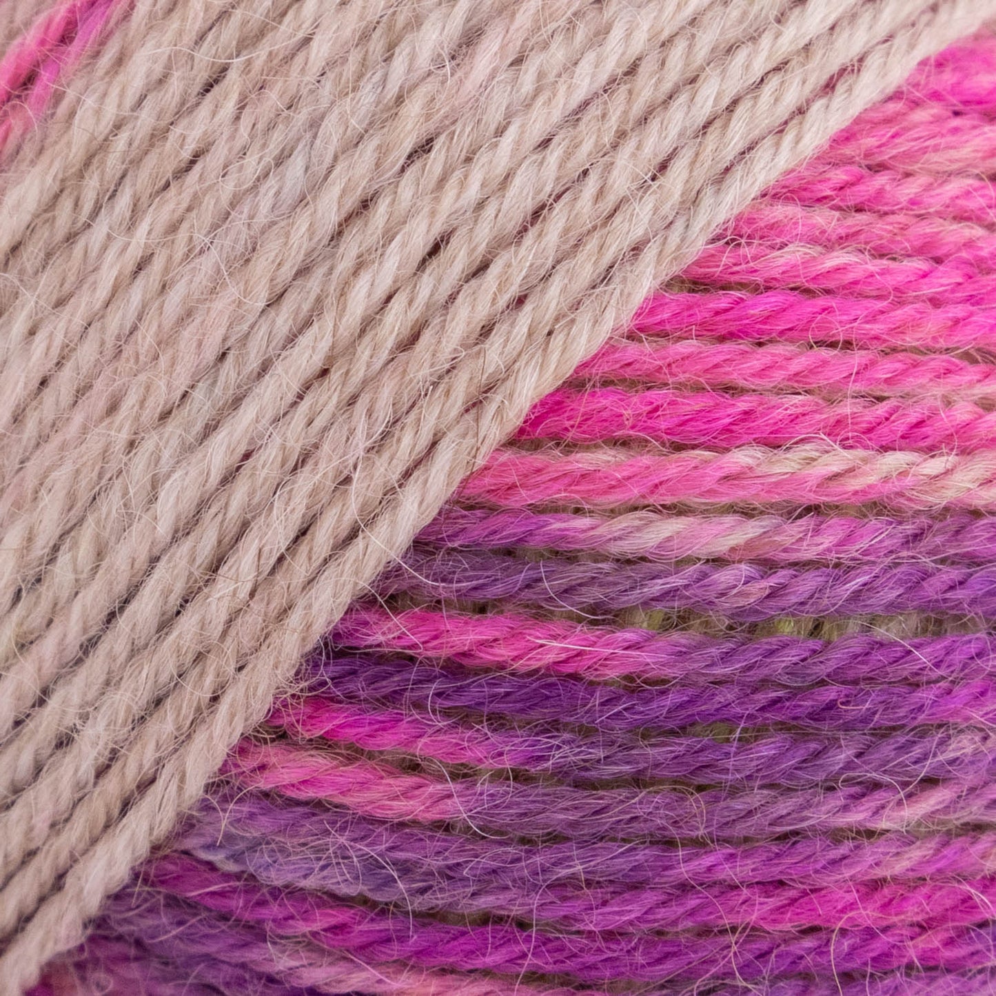 Luca-S MERAKI - Pack of 10 (0.5 KG)