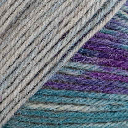 Luca-S MERAKI - Pack of 10 (0.5 KG)