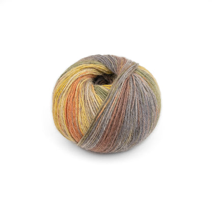 Luca-S MERAKI - Pack of 10 (0.5 KG)