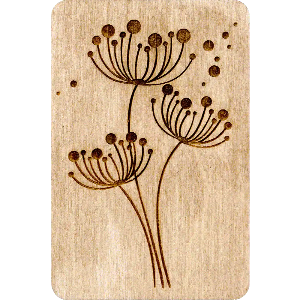 Needle Organizer - Magnetic Needle Storage, Storage Box for Handcraft Wonderland Crafts Needle Cases - HobbyJobby