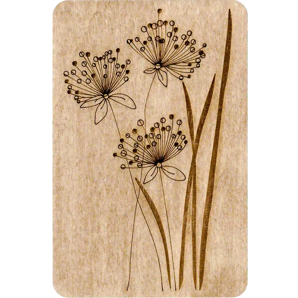 Needle Organizer - Magnetic Needle Storage, Storage Box for Handcraft Wonderland Crafts Needle Cases - HobbyJobby