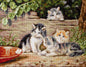 Cross Stitch Kit Luca-S - Kittens, B556