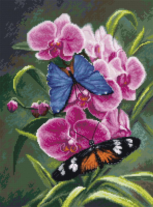 Cross Stitch Kit Luca-S - Nature’s Poetry, B7010