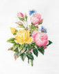 Cross Stitch Kit Luca-S - Yellow Roses and Bengal Roses, BU4003