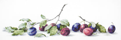 Cross Stitch Kit Luca-S - Plums, B2257