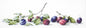 Cross Stitch Kit Luca-S - Plums, B2257