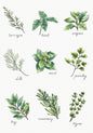 Cross Stitch kit Luca-S - Spices and Herbs, B2345