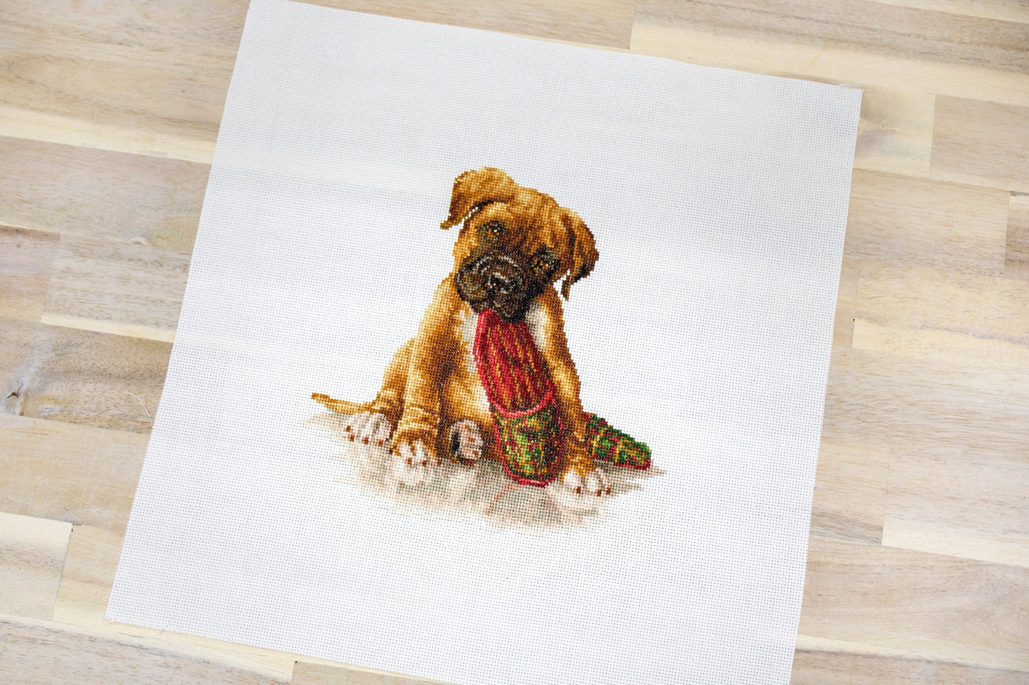 Cross Stitch Kit Luca-S - The Boxer, B2338