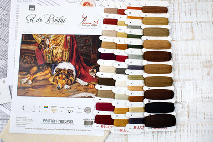 Cross Stitch Kit Luca-S - A Reluctant Companion, B585
