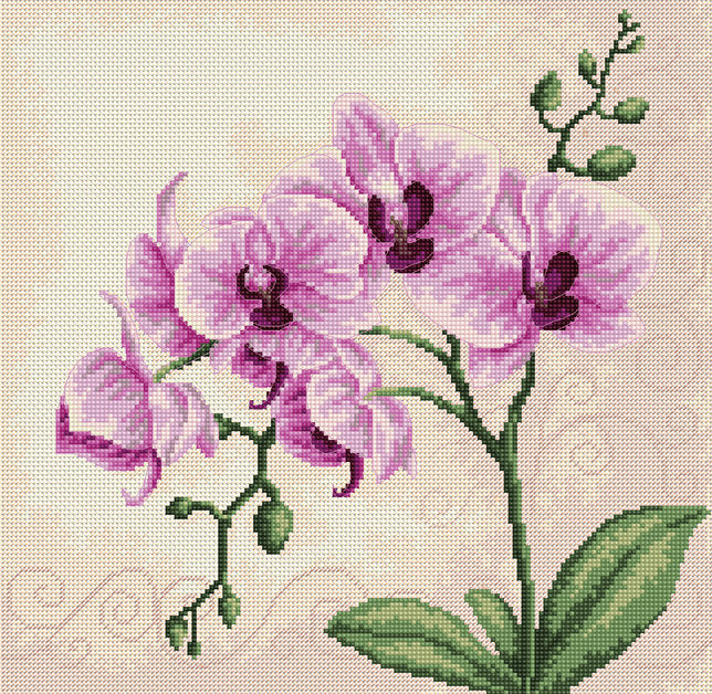 Cross Stitch Kit Luca-S - Orchid, B2227