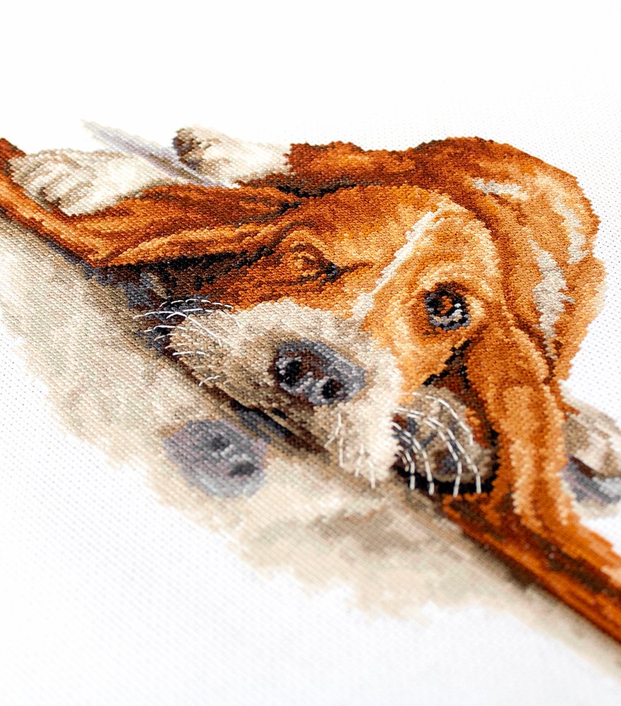 Cross Stitch Kit Luca-S - Basset, B2341