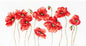 Cross Stitch Kit Luca-S - Red Poppies, B2223