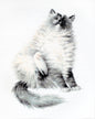 Cross Stitch Kit Luca-S - The Micky Kitty, B2269