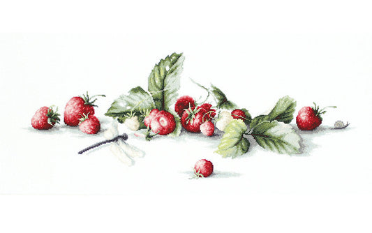 Cross Stitch Kit Luca-S - Etude with Strawberries - HobbyJobby