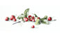 Cross Stitch Kit Luca-S - Etude with Strawberries - HobbyJobby