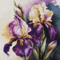 Cross Stitch Kit Luca-S - Iris “Burgermeister”, B7023