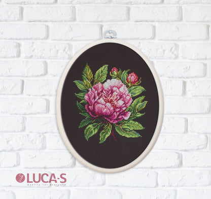 Cross Stitch Kit with Hoop Included Luca-S - ’’Peter Brand’’ Peony, BC204